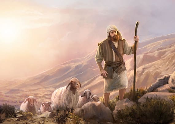 Pastore che sale un pendio con pecore al seguito