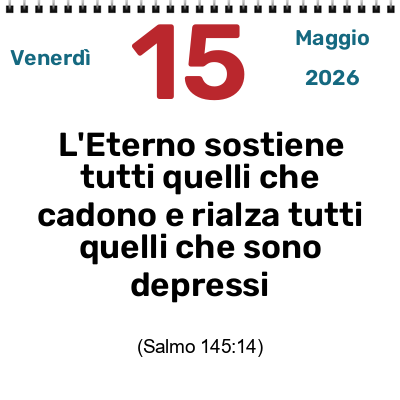 SOSTENUTI E RIALZATI