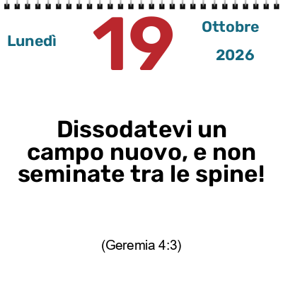 UN CUORE NUOVO